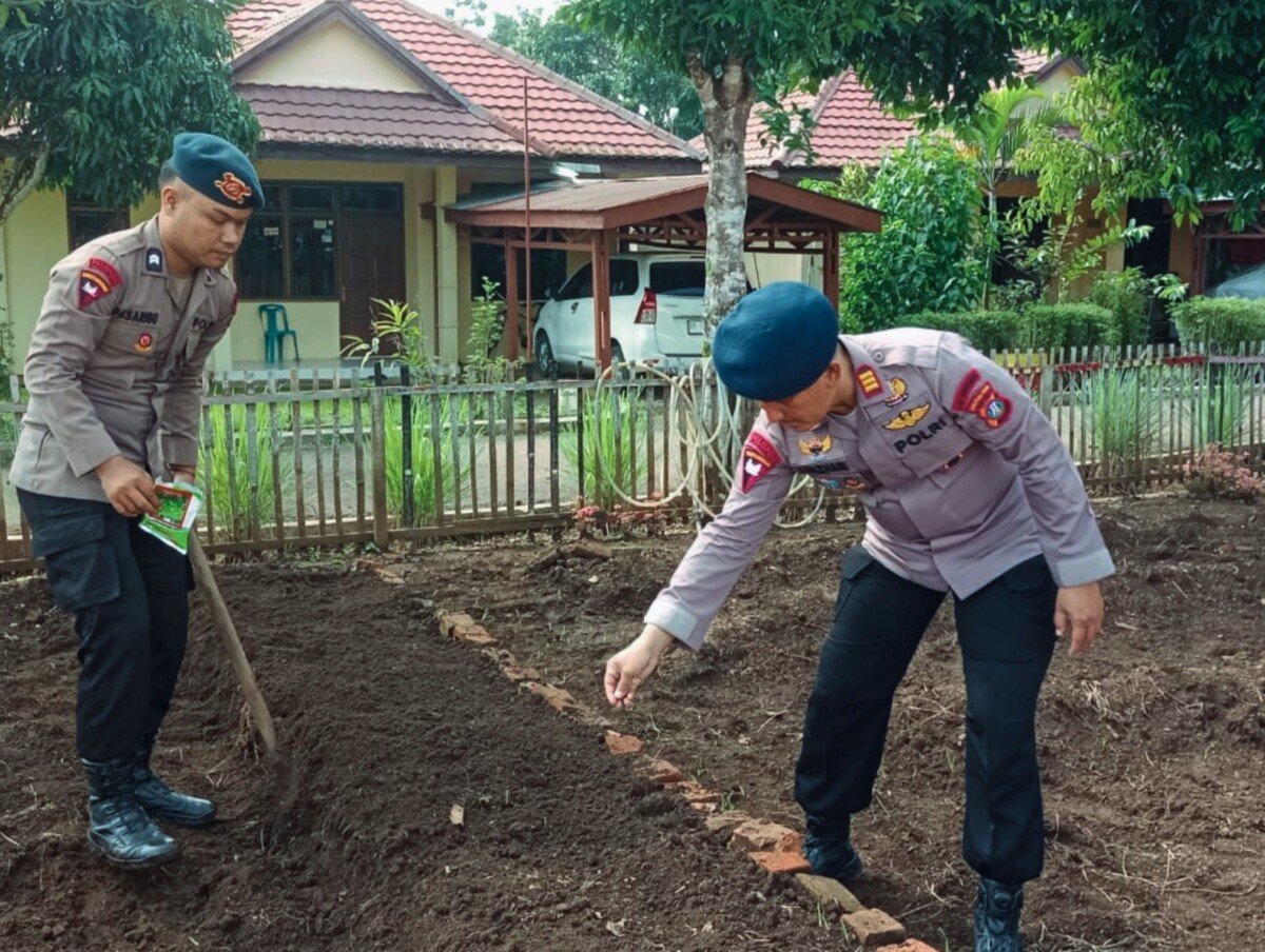 Dari Lahan Kosong Jadi Sumber Pangan, Brimob Sumut Kembangkan P2L di Batalyon C   