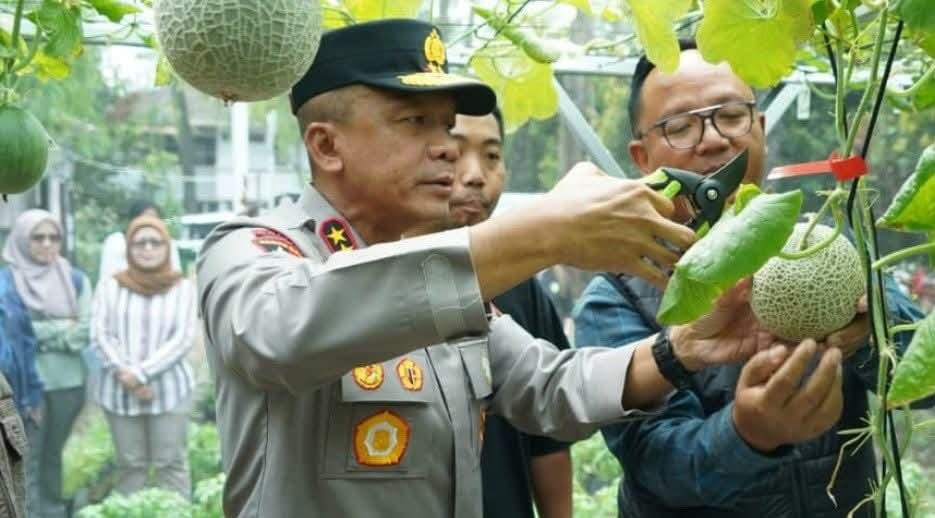 Wujudkan Kemandirian Pangan, Kapolda Jabar Apresiasi Green House Binaan Bhabinkamtibmas di Kurdi Timur