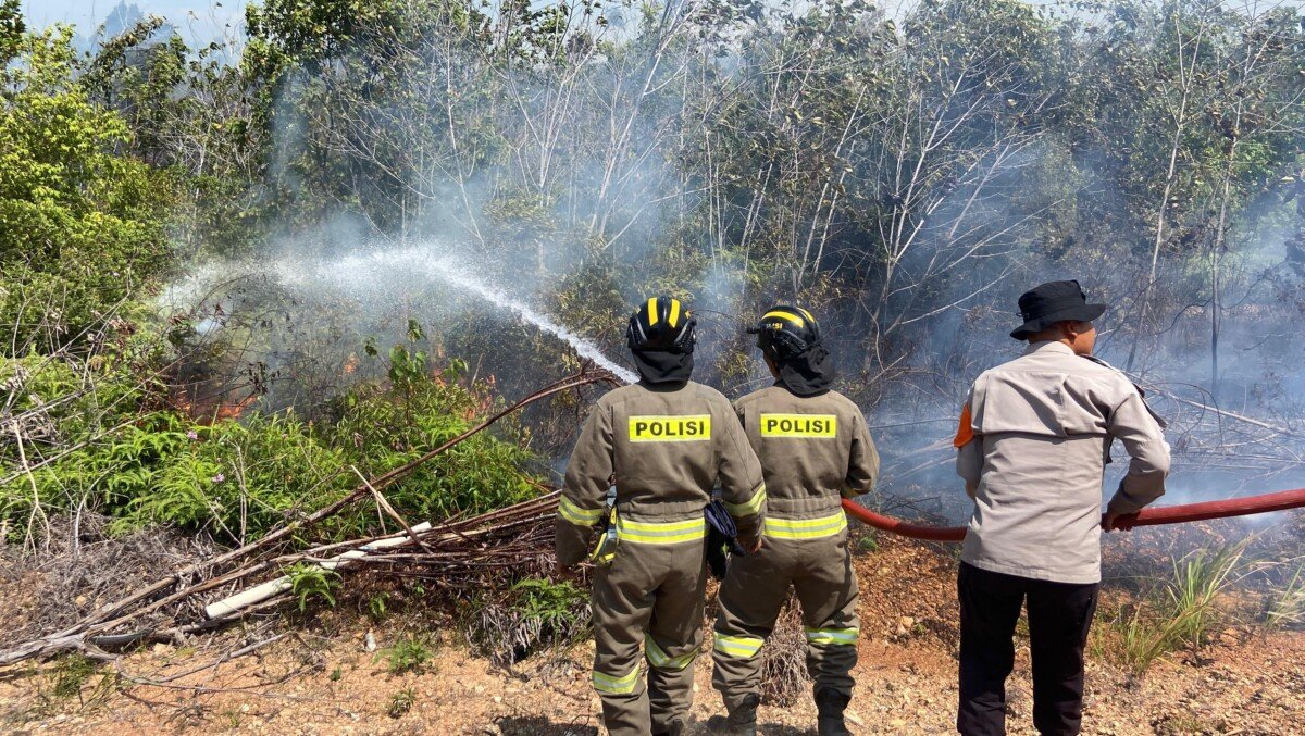 RESPON CEPAT SAT BRIMOB POLDA KEPRI BERSAMA POLRESTA BARELANG TANGANI KEBAKARAN HUTAN DI KAWASAN PANTAI NIRWANA, BATAM
