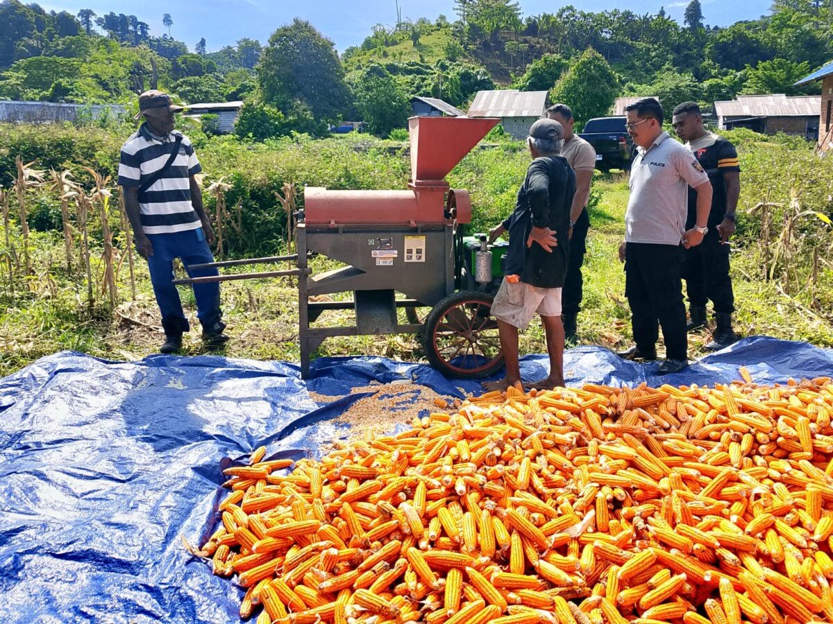 Dukung Ketahanan Pangan, Polres Raja Ampat Pinjamkan Mesin Pipil Jagung kepada Petani Binaan