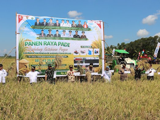 Wujud Sinergi Perkuat Swasembada Pangan, Kapolda Kalteng Panen Raya Padi Bersama Gubernur di Kapuas