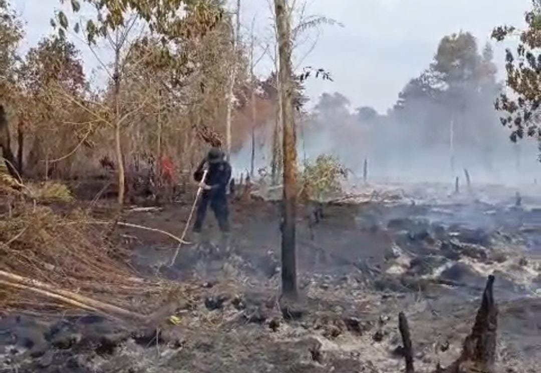 Tanggapi Laporan Masyarakat, Brimob Polda Kalteng dan Satgas Aman Nusa II Sigap Padamkan Karhutla di Km 16 Tjilik Riwut