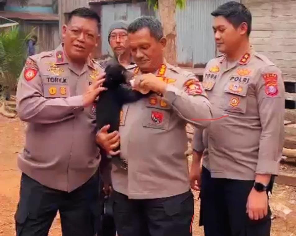 Tak Hanya Padamkan Api, Polri Selamatkan Anak Beruang Madu Terdampak Karhutla