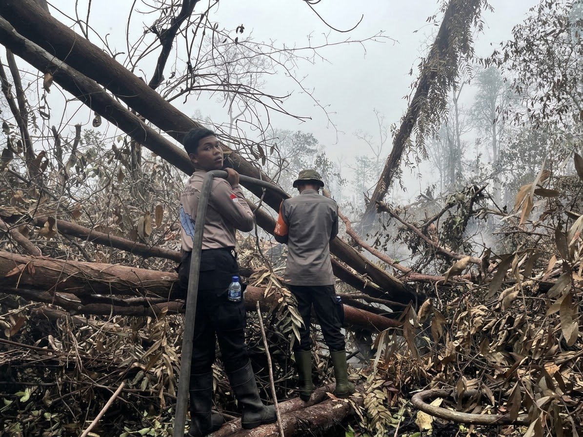 Antisipasi Api Kembali Muncul, Satbrimob Polda Kalteng Gencarkan Pendinginan Bekas Karhutla Di Tanjung Puting